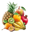 fruit